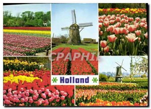 Modern Postcard Holland