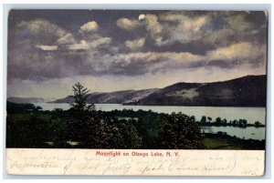 1906 Moonlight on Otsego Lake Amsterdam Cooperstown New York NY Vintage Postcard 