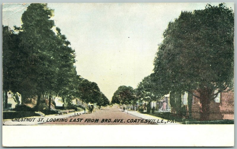 COATESVILLE PA CHESTNUT STREET ANTIQUE POSTCARD