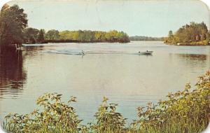 Paw Paw Michigan~Maple Lake Scene~Waterskiing Behind Speedboat~1950s Postcard
