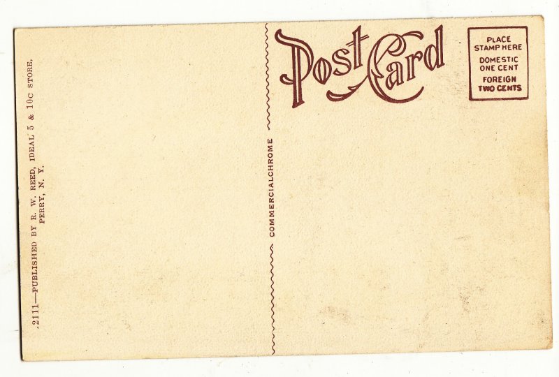 P3177 old postcard view town hall perry new york