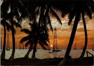 Twilight in the Lake Maracaibo Venezuela Postcard PC526