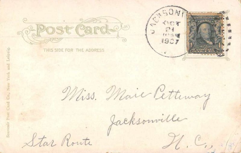 Wilmington North Carolina Picnicking at Hilton Ox Cart Vintage Postcard JI658346