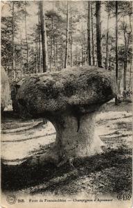 CPA Foret de FONTAINEBLEAU - Champignon d'Apremont (249003)