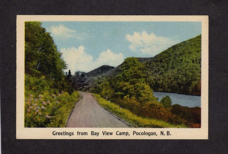 NB Greetings From Bay View Camp Pocologan New Brunswick Carte Postale Canada