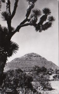 Mexico Piramide de la Teotihuacan Real Photo