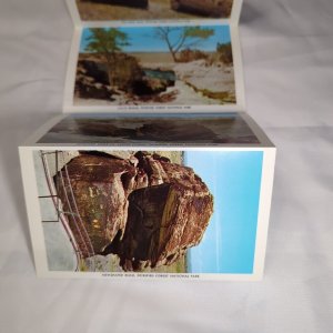 Petrified Forest National Park Arizona Vintage Souvenir Postcard Folder