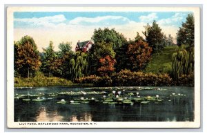 Lily Pond Maplewood Park Rochester New York NY UNP WB Postcard H22