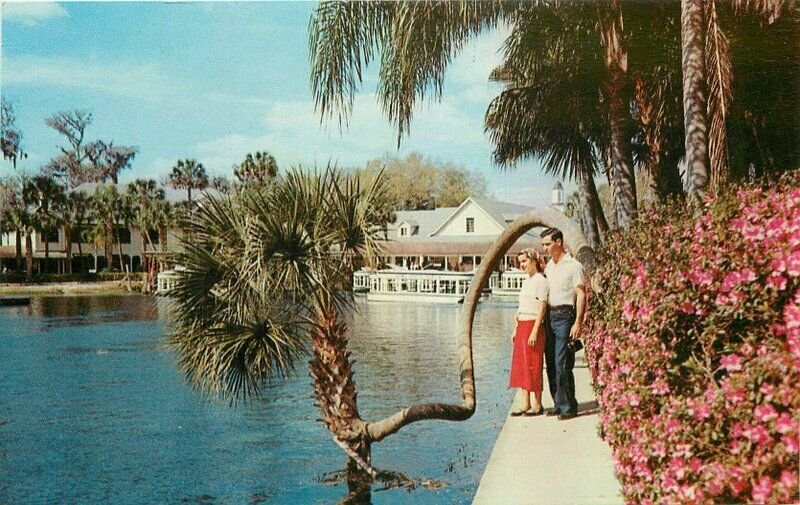 1950s Silver Springs Florida Waterfront Attraction US Color Print Postcard 6101