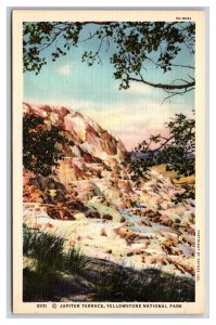 Jupiter Terrace Yellowstone National Park Wyoming WY UNP Linen Postcard Z5