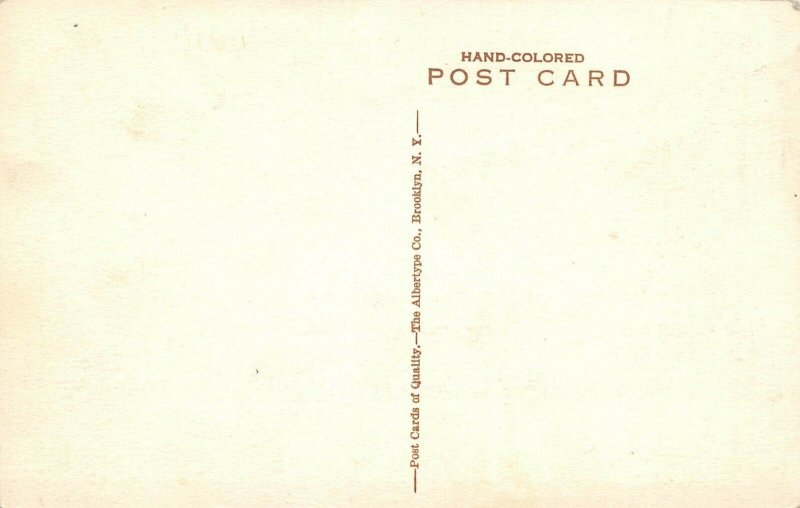 LPS40 Swampscott Massachusetts New Ocean House Rock Garden Hand Colored Postcard