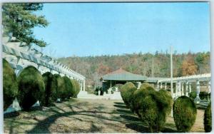 HOT SPRINGS, Arkansas AR ~MOUNTAIN VALLEY MINERAL WATER SPRING Analysis Postcard