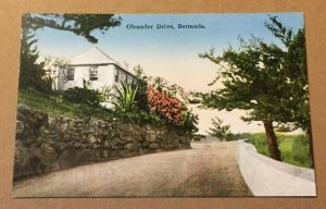 VINTAGE POSTCARD UNUSED OLEANDER DRIVE BERMUDA