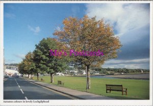 Scotland Postcard -Lochgilphead, Trees in Autumn Colours,Argyll and Bute RR20757