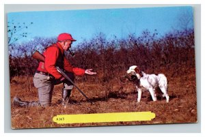 Vintage 1960's Postcard Hunter Hunting Dog Brings him a Pheasant