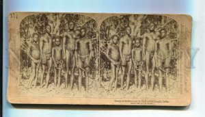 3163968 INDIA Group of Andamanese in Native Jungle STEREO PHOTO
