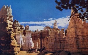 Queen Victoria Bryce Canyon National Park UT Postcard