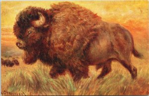 Buffalo In The Rocky Mountains Tuck 3337 Norah Drummond Artist Postcard G79