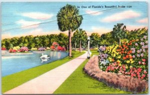 Postcard - In One of Florida's Beautiful Parks - Florida