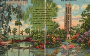 Vintage Postcard 1957 Happiness In Florida Sunken Garden Singing Tower Flamingos