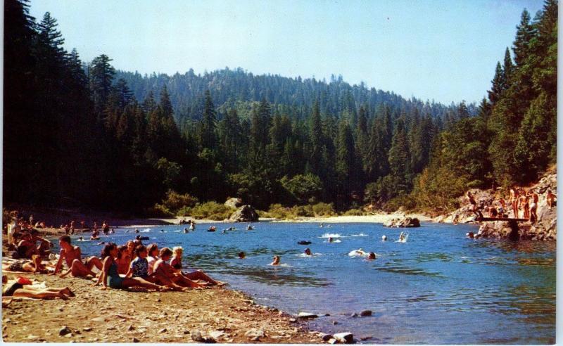 RICHARDSON GROVE STATE PARK, CA  BATHERS SWIM in EEL RIVER  c1950s  Postcard