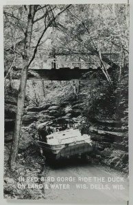Rppc Wis Dells The Duck on Land in Red Bird Gorge Photo Postcard O17