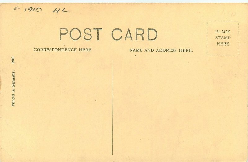 c1910 Sewanee Tennessee University Supply Co hand colored Postcard 26-41