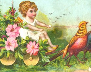 1880s Embossed Willett's & Quinby Coffee Fantasy Birds Wagon Fairy Child #5R