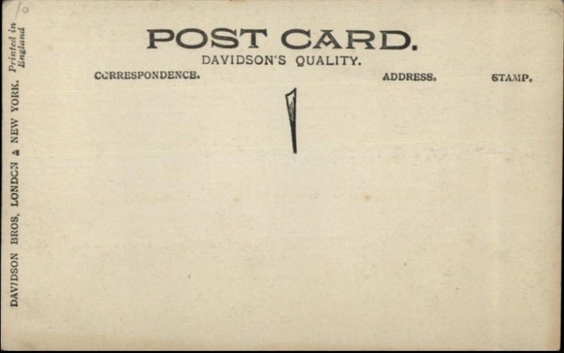 Steamship Lusitania Interior Lounge c1910 Real Photo Postcard