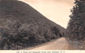 Road and Mountain - Roxbury, New York NY  