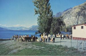 Lake Wakatipu Walter Peak Station Queenstown NZ Beach Bay Vintage Postcard D22