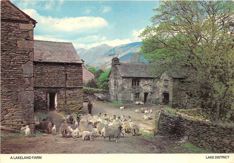 uk45701 lakeland farm lake district uk