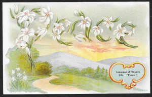 Language of Flowers Lily Peace Unused c1910s