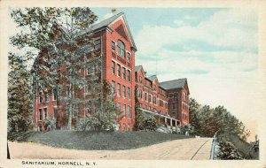 Sanitarium, Hornell, New York, Early Postcard, Unused