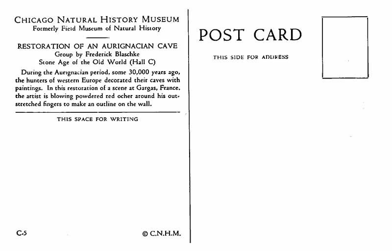 Postcard MUSEUM SCENE Chicago Illinois IL AQ5170