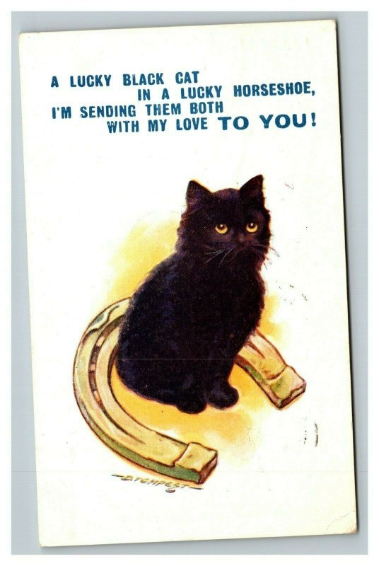 Vintage 1910's Bamforth Postcard Cute Lucky Black Cat Horseshoe