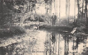 Pond Loch Sheldrake, New York NY s 