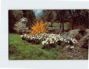 Postcard Berkshire Garden Center, Stockbridge, Massachusetts