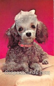 Poodle Royalty Color by FPG Dog Unused 