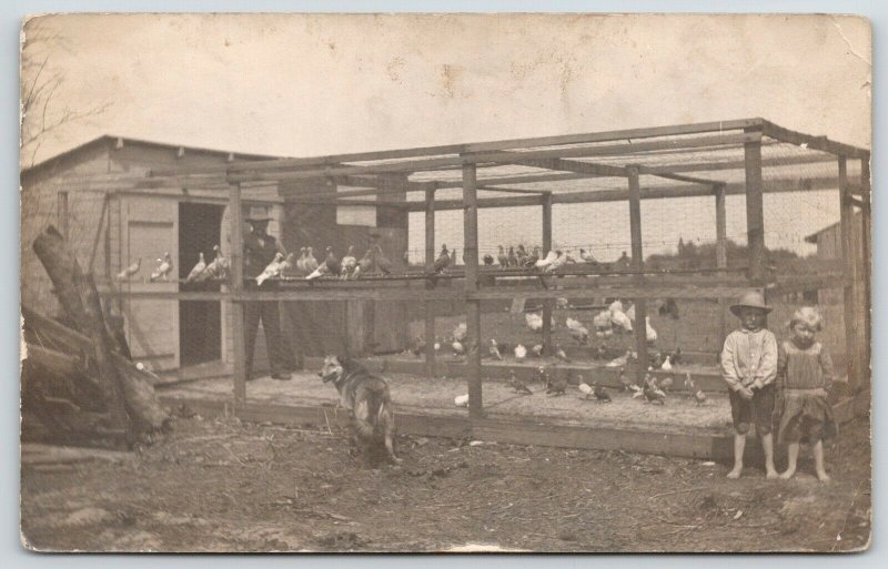 Real Photo Postcard~Children & Dog Guard Chicken Pigeon Coop~Farmer Inside~1908 