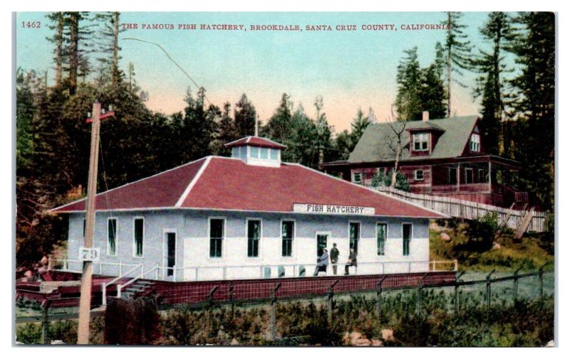 Early 1900s Fish Hatchery Brookdale Santa Cruz County, CA Postcard