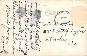 Camp Douglas Wisconsin~Tree Atop Ragged Rock~1910 Postcard