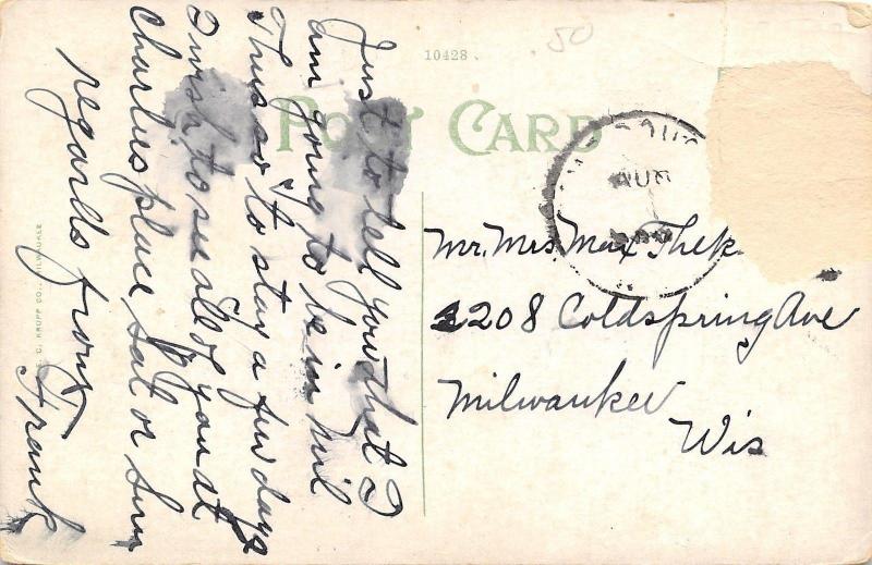 Camp Douglas Wisconsin~Tree Atop Ragged Rock~1910 Postcard