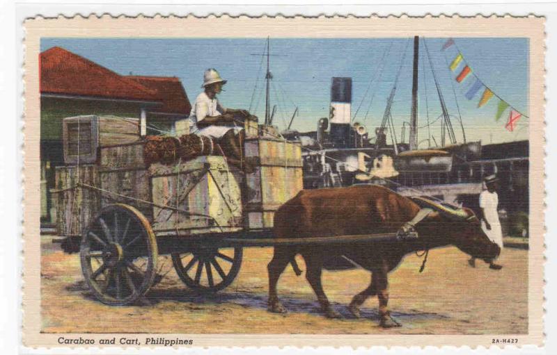 Carabao Water Buffalo Cart The Philippines linen postcard