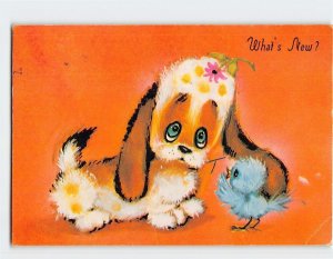 Postcard What's New? with Puppy Bird Cartoon Art Print