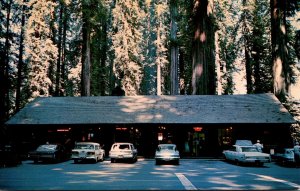 California Richardson Grove State Park The Lodge