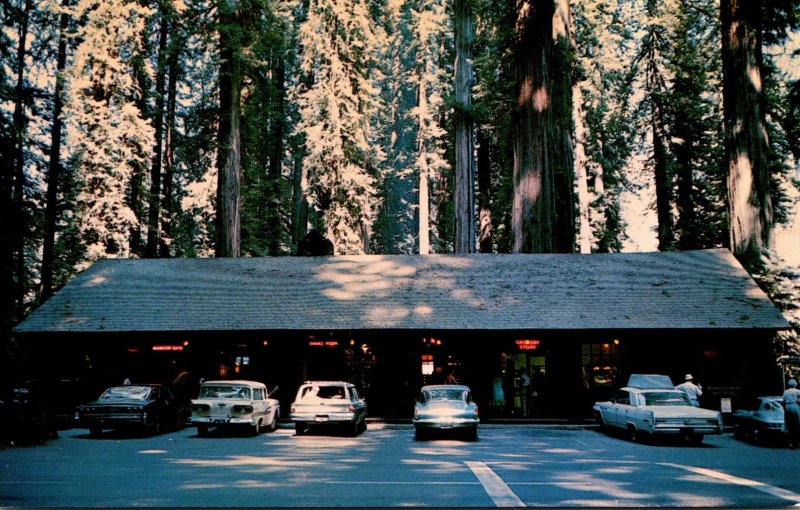 California Richardson Grove State Park The Lodge