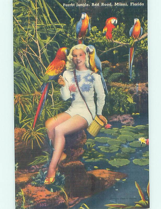 Linen risque PRETTY GIRL AT PARROT JUNGLE Miami Florida FL AF9451