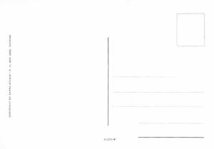 Groundnut Chicken - Recipe