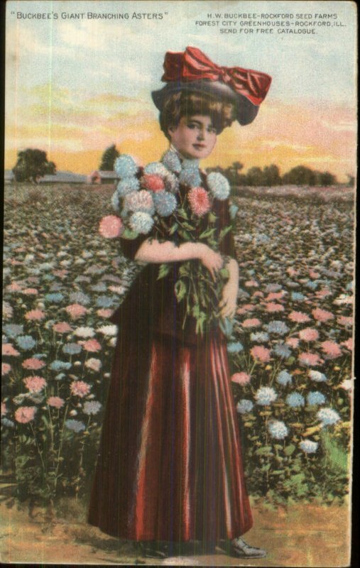 Buckbee's Seeds Beautiful Woman Aster Flower Postcard Advert Deltiology